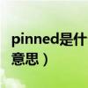 pinned是什么意思中文翻译（pinned是什么意思）