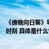 《傍晚向日葵》导演李旭：用乐观勇敢态度来直面人生至暗时刻 具体是什么情况?