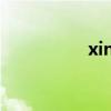 xinput手柄（xinput）