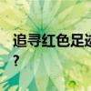 追寻红色足迹 重温光辉历程 具体是什么情况?