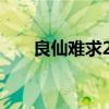 良仙难求2月落紫珊结局（良仙难求）