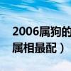 2006属狗的和什么属相最配（属狗的和什么属相最配）