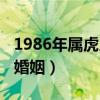 1986年属虎人的婚姻感情（1986年属虎的人婚姻）