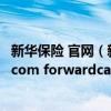 新华保险 官网（新华保险公司官方网站wwwnewchinalife com forwardcasualty gsp_）