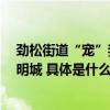 劲松街道“宠”我做起 ：牵好手中“文明”绳 共建和谐文明城 具体是什么情况?