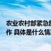 农业农村部紧急部署安排强降雪和低温雨雪冰冻天气防范工作 具体是什么情况?