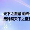 天下之至柔 驰骋天下之至坚意思的作文800字（以天下之至柔驰骋天下之至坚）