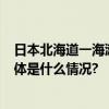 日本北海道一海滩现大量沙丁鱼尸体“鱼浪”蔓延1公里 具体是什么情况?