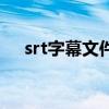 srt字幕文件怎么导入（srt是什么文件）