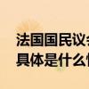 法国国民议会投票中止移民法草案审议程序 具体是什么情况?