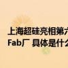 上海超硅亮相第六届半导体大硅片论坛超70名代表参观上海Fab厂 具体是什么情况?