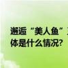 邂逅“美人鱼”王妃GEMO金茉携手摩纳哥王妃基金会 具体是什么情况?