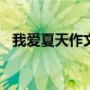 我爱夏天作文500字（我喜欢的季节夏天）