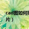 cad图如何插到word文档（cad怎么插入图片）