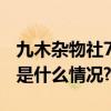 九木杂物社7周年静悄悄开出600家门店 具体是什么情况?