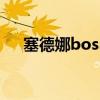 塞德娜boss图名字（塞德娜boss在哪）