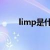 limp是什么意思（lim是什么意思）