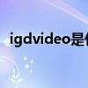 igdvideo是什么意思（video是什么意思）