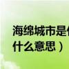 海绵城市是什么意思 视频解说（海绵城市是什么意思）