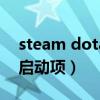 steam dota2国服启动（steamdota2国服启动项）