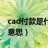 cad付款是什么意思啊（cad付款方式是什么意思）