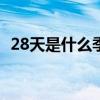 28天是什么季节（二八天指的是什么季节）