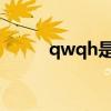 qwqh是什么品牌羽绒服（qwq）