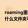 roaming里什么文件可以删除（roaming是什么文件夹可以删除）