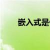 嵌入式是什么（嵌入式系统是什么）