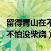 留得青山在不怕没柴烧是古诗吗（留得青山在不怕没柴烧）