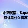 小猪民宿："考研房"预订量同比去年增长96% 具体是什么情况?