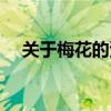 关于梅花的资料信息（关于梅花的资料）