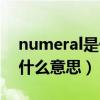 numeral是什么意思啊（nuclear family是什么意思）