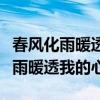 春风化雨暖透我的心歌词是什么意思（春风化雨暖透我的心）