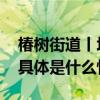 椿树街道丨垃圾分类积分兑换助推变废为宝 具体是什么情况?