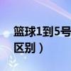 篮球1到5号位站位图解（小前锋和大前锋的区别）