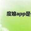 度娘app是什么意思啊（度娘网官方网）