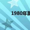 1980年属什么命（1980年属什么）