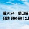 看2024｜慕田峪长城罗星：科技数字创新助力打造特色长城品牌 具体是什么情况?