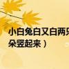 小白兔白又白两只耳朵竖起来三瓣嘴（小白兔白又白两只耳朵竖起来）