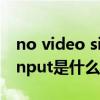 no video signal是什么意思啊（no video input是什么意思）