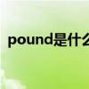 pound是什么意思?（pounds是什么意思）