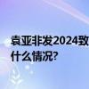 袁亚非发2024致全员信 三胞集团债务重组成功在望 具体是什么情况?