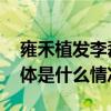 雍禾植发李磊：贴心解决患者的毛发问题 具体是什么情况?