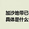 加沙地带已有106名记者和媒体工作者死亡 具体是什么情况?