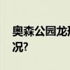 奥森公园龙形水系冰场迎游客 具体是什么情况?