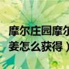 摩尔庄园摩尔拉雅姜产量（摩尔庄园摩尔拉雅姜怎么获得）