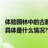 体验园林中的古韵雅趣！园博馆元旦系列活动今天拉开序幕 具体是什么情况?