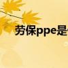 劳保ppe是什么意思（ppe是什么意思）