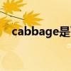 cabbage是可数还是不可数（cabbage）